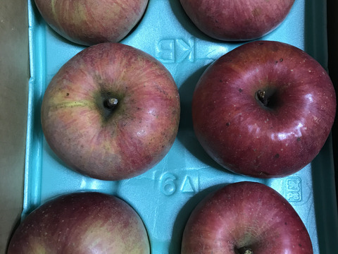 ゆっくり完熟！ 少し訳あり葉とらずサンフジ3キロ自家用