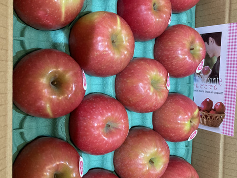 年内発送します🍎 ピンクレディ®︎3キロ箱  長野県 信州 安曇野 リンゴ 幻 幻のリンゴ 予約 希少 旬 6玉〜16玉サイズ 商品ID42100 ピンクレディー