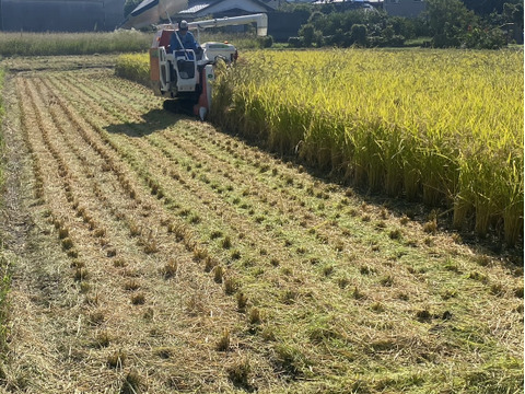 新米福岡産ヒノヒカリ５㎏袋×2