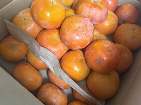 旬最後の味　訳あり富有柿　7.5kg　（30〜35個入）