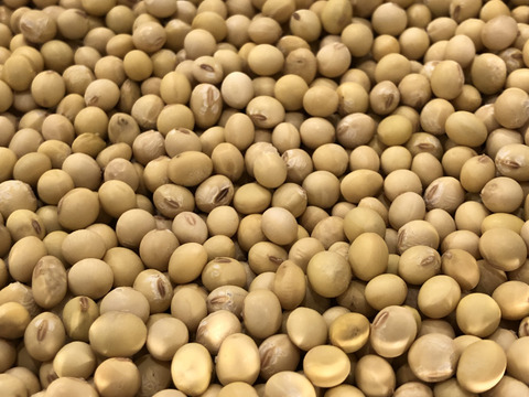 【令和7年産】自然栽培「ふくゆたか大豆」（静岡県産）