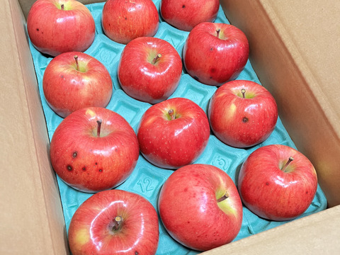 青森県産りんご　葉とらずりんご　高徳（こうとく）りんご　訳アリ【3㎏　8～12個入り】