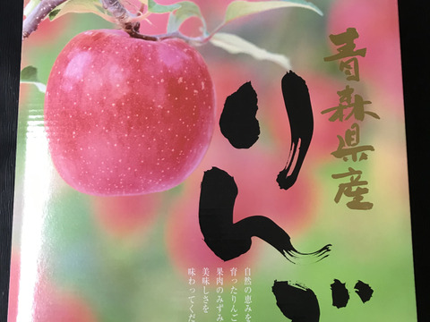 【贈答用】青森県産りんご「サンふじ」贈答用 約5kg【光センサー選果済】