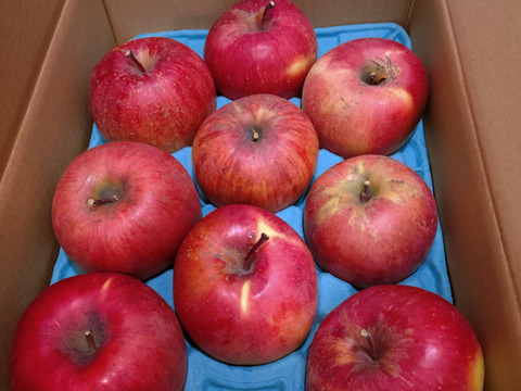 「完熟サンふじ」訳あり更に お値下げ！！期末総決算！　ご家庭専用　3キロコース　甘酸バランス良好