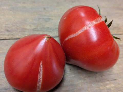 【冷凍】完熟ファーストトマト　たっぷり2.2kg！