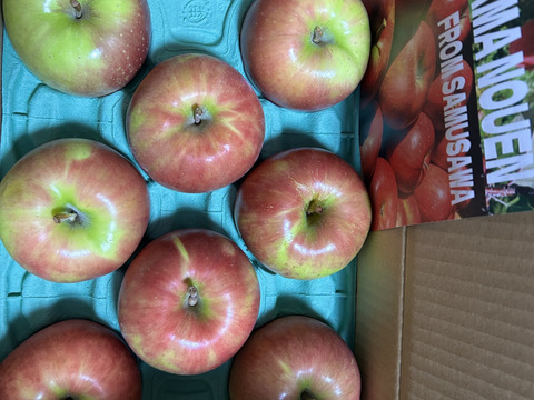 綺麗な葉とらずサンつがる 3キロ箱 7～11玉 長野県産