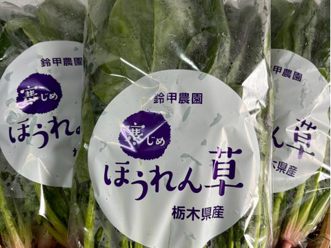 アクがなく、味が濃くて甘い！肉厚寒じめほうれん草【２３０ｇ×５袋】