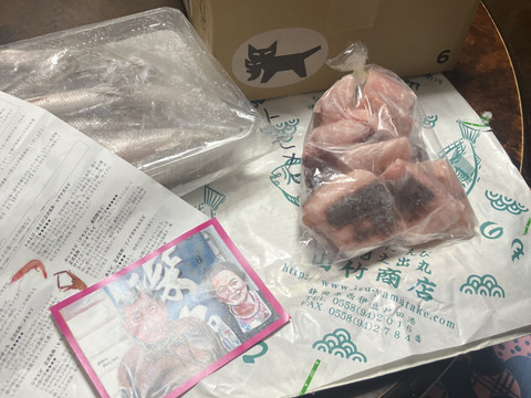 【未利用魚】今後増殖するだろうトモメヒカリ1.2kg前後