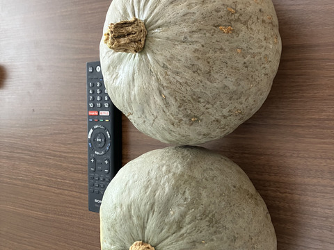かぼちゃ　雪化粧　約4キロ