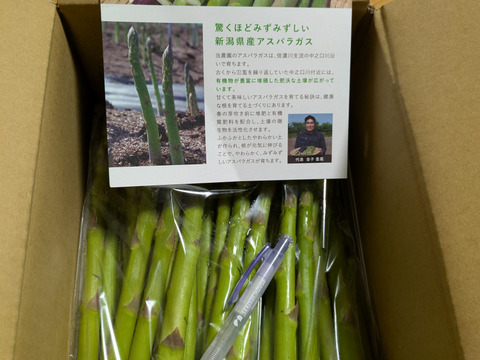 【朝採】アスパラガス Lサイズ A等級 １kg 【収穫当日発送】