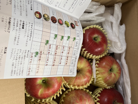 お試しサイズ【家庭用】紅玉 約1.8kg（5-10玉)  昔ながらの酸っぱい林檎 9月下旬頃発送開始予定 #NAK0B018