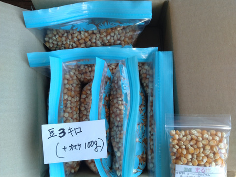 大量　まるポップコーン(500ｇ×6袋）＋おまけ100ｇ