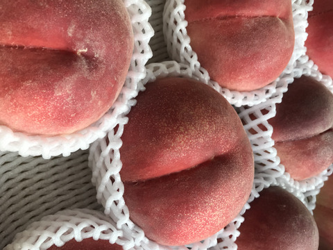 山梨県産かための”甘〜い桃” 約３kg（８～11玉）【冷蔵便】贈答　ギフト　ご家庭にも