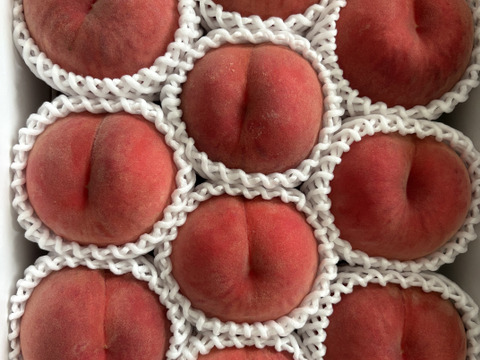 18日まで／【桃の概念をぶっ壊す硬さ】🍑おどろき 3キロ🍑【硬すぎ桃