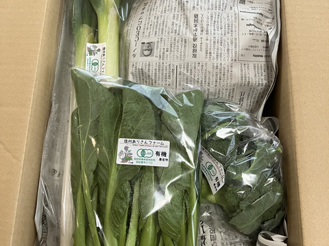 【有機JAS】冬野菜セット（7～9品目）【信州産】