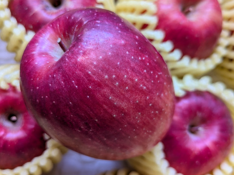 【幻の小玉第3弾】スリムレッド シャキッとジューシー 3キロ箱使用 9〜25玉程度　商品ID51599 長野県 信州 安曇野 リンゴ 幻 幻のリンゴ 予約 希少 旬