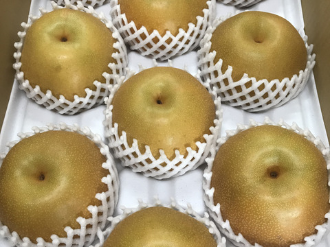 大豊作‼️500円引き【繊細なシャリ感とあふれる果汁‼️】PREMIUMあきづき梨5.0kg(特大7-10個)✨️ 上品な甘さ、酸味が少なく歯触りのいい梨🍐果汁たっぷり桃のような風味が特長✨️