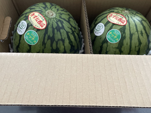 小玉すいか　あきた夏丸チッチェ２L２玉（１玉 約３㎏）