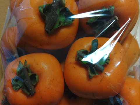 【20セット限定】【自然栽培】干し柿作りセット【作り方付き】