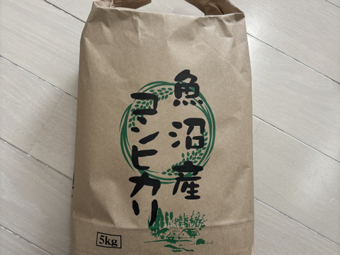 魚沼市で作った美味しいお米 精米 魚沼産コシヒカリ 5kg  魚沼市 令和7年産