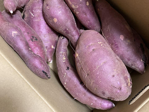訳あり！熟成紅はるか 10kg さつまいも：茨城県産のべにはるか｜食べ