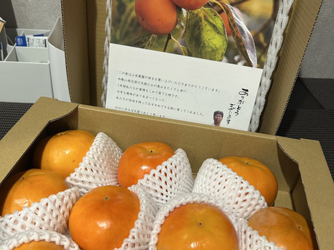 贈ってもらえると嬉しい　和歌山晩秋の味覚　富有柿　贈答品（10個入）