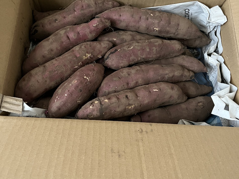 《熟成1ヶ月超えでお届け！》紅はるか（5kg）(茨城県産)・(サツマイモ)(Ⅿ～２Lサイズ)(土付き)