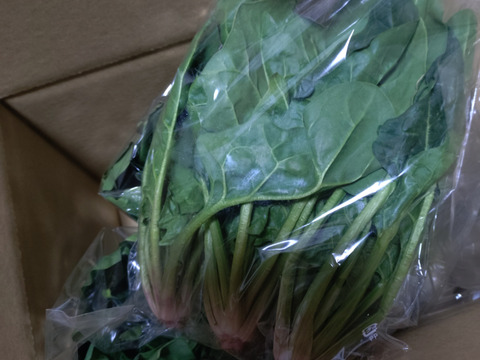 （少量セット）冬の本気！ギュッと濃い味肉厚ほうれん草（200ℊﾊﾟｯｸ×5Ｐ）