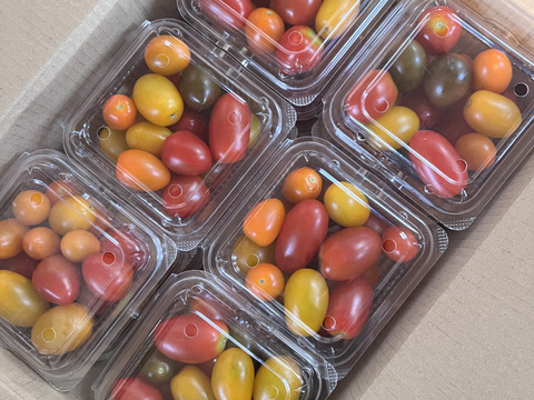 有機JAS認証☆彡宝石みたいな カラフルミニトマト《4kg》