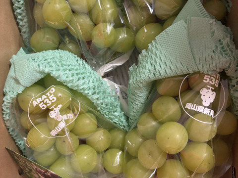 岡山県新見市産　標高の高い畑で作った大粒！味の濃い！シャインマスカット　３房～４房　1.8kg以上