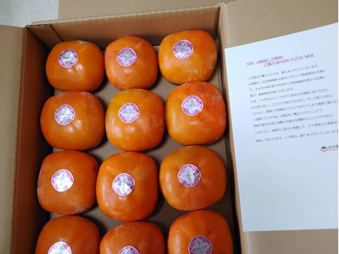 【ご予約】家庭用 糖度に自信！刀根早生柿誕生の地より直送 たねなし柿  SDG.s 2L～L　12玉入りです。たくさんの方に味わっていただきたくて企画しました。