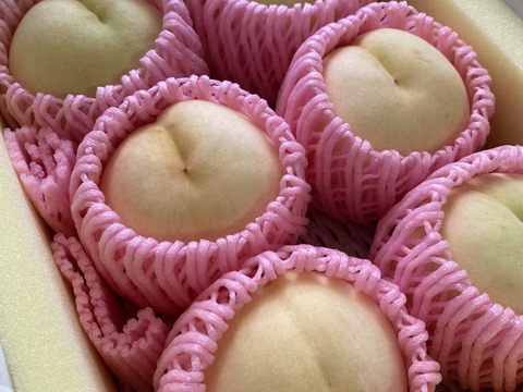 【お試し】【翌日着地域限定】【少々の生キズ有りの白桃🍑】5玉～6玉  【おかやま夢白桃・白麗】 1.5㎏～1.7㎏