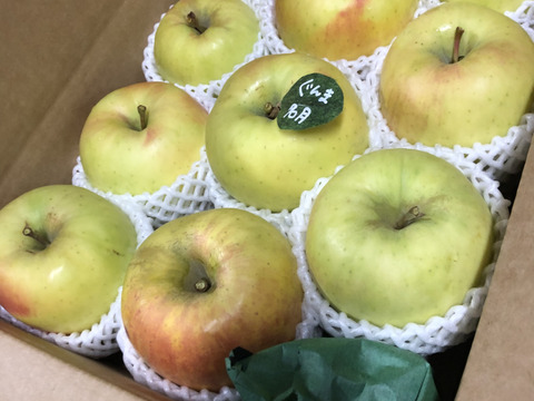 【冬ギフト】🍎『希少！』ぐんま名月🍎約3キロ8〜11玉(家庭用)ID177902