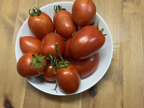 【お得！おまかせパック】
  農薬不使用　トマト（ミニ、中玉、大玉）
  400g x 4p , 200g x 2p（2kg）