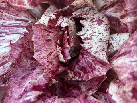 【栄養価が高い】しゅんセット(8〜10品目前後)