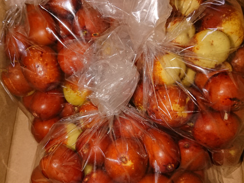 棗（なつめ）　若返りの果実！　200グラム