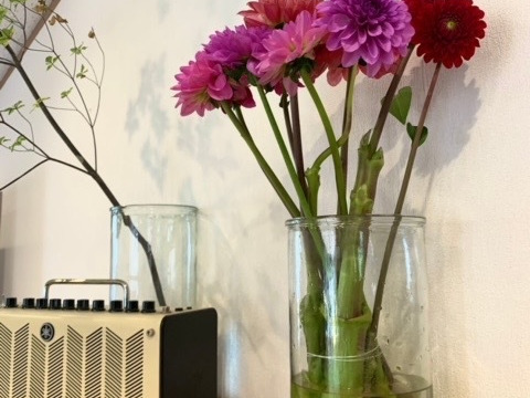 【鮮やか新鮮・産地直送】ダリア花束 「スペシャルMix」色混色10本（40〜50cm）