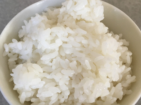 新米　千葉県産新品種　『粒すけ』　オヤジの米 　※令和5年度産新米　（白米）27㎏
