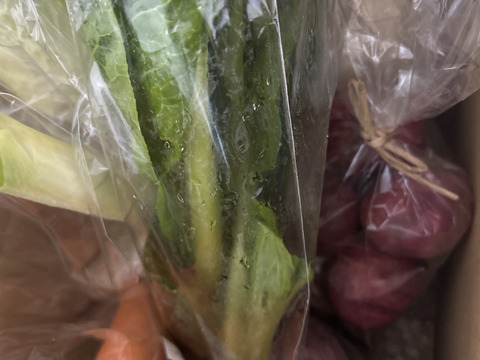 自然栽培野菜一人暮らしの方にオススメセット【7〜9 種類】