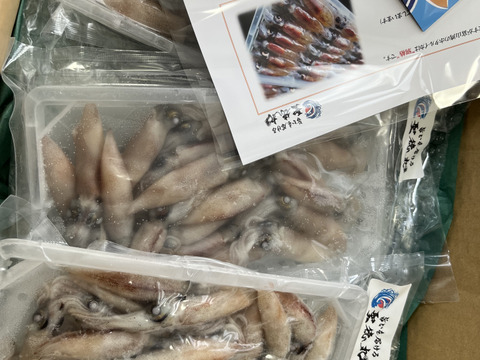新鮮な朝獲れ鮮度を即冷凍！！《富山湾》🦑生ほたるいか🦑150g×3パック
