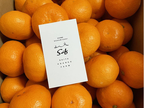 早生みかんの代表格　宮川早生（ご家庭用・5kg）