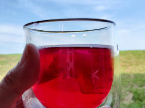 赤紫蘇600ｇ★期間限定　パチャママ農園　“天神赤しそ”　梅干し作りや紫蘇ジュース　梅