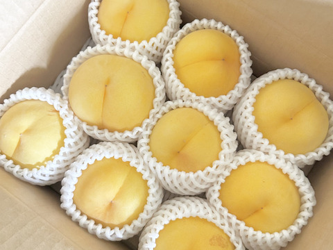 【超訳あり家庭用☆品種おまかせ】桃2kg