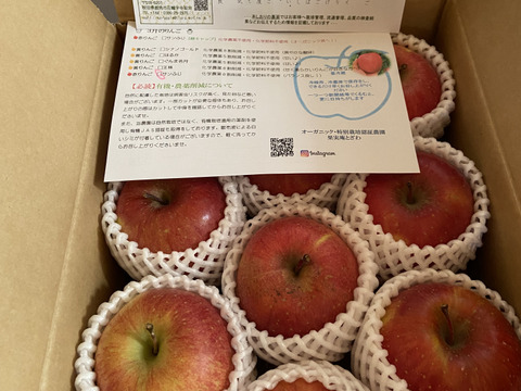 特別栽培サンふじ(8〜12玉)