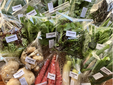 ☆贈答用☆【旬を楽しむ♪】おまかせお野菜セットB（約15品以上）
大切なあの方へ送るお野菜のプレゼントはいかがでしょうか。