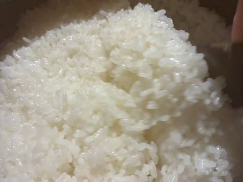 【令和7年新米】自然栽培ヒノヒカリ白米5Kg 栽培期間中農薬・肥料不使用