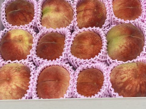 家庭用あかつき桃朝どり直送便1.5kg(5〜6玉入り)