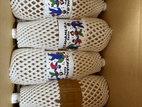 【福袋】葉取らずふじとジュース4種詰合せ