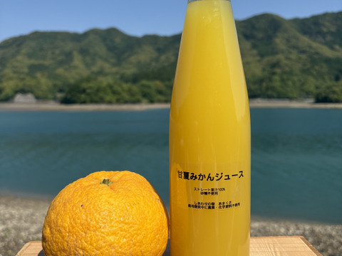 生搾り果汁100%ストレートジュース（熊本特産 甘夏みかん）栽培期間中農薬、化学肥料不使用 2本（1本500ml）