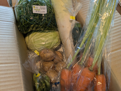 【少量サイズ♪】信州冬野菜セット10品目 お試しにも！